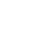 Logo blanc Schiba